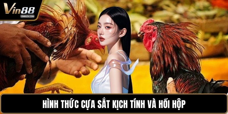 Hình thức cựa sắt kịch tính và hồi hộp